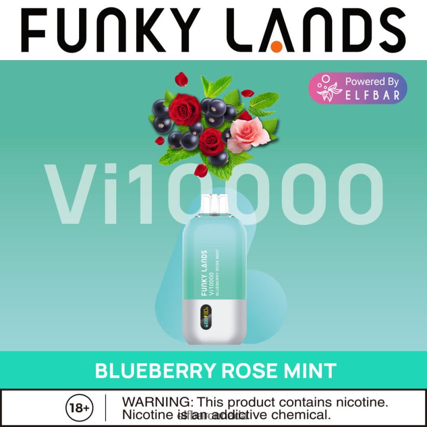 ELFBAR Funky Lands Disposable Vape Vi10000 Puffs THL6JL163 Blueberry Rose Mint